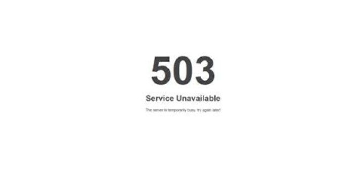 503 Service Unavailable - What really it means?