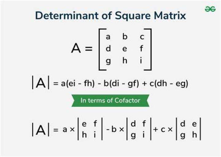9 by 9 matrix: finding the determinant?