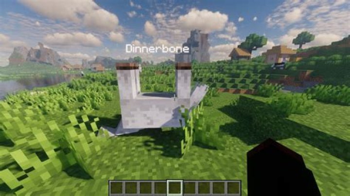 A warning from Dinnerbone