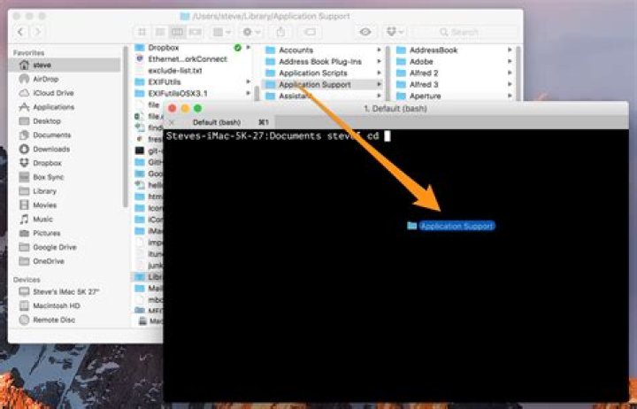 Accessing shared directory path in Mac OS X Terminal