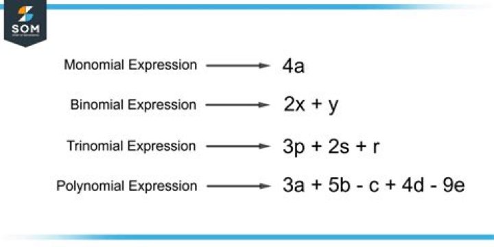 Are all polynomial expressions an algebraic expression.
