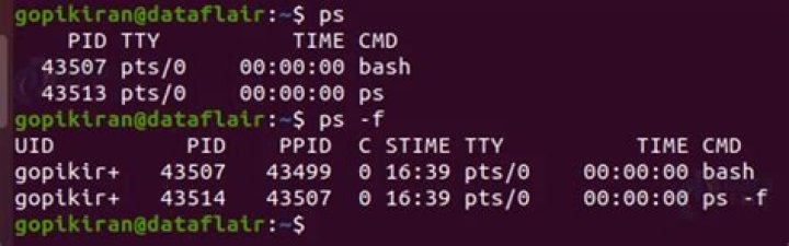 Attaching a process to a terminal in LInux