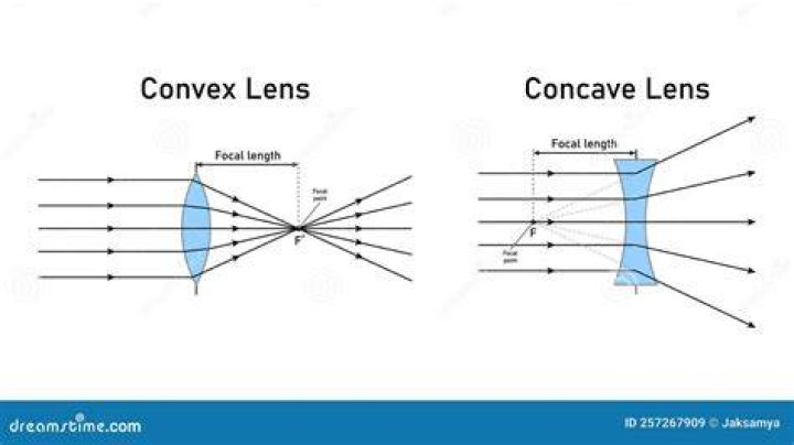 Average area of the shadow of a convex shape [closed]