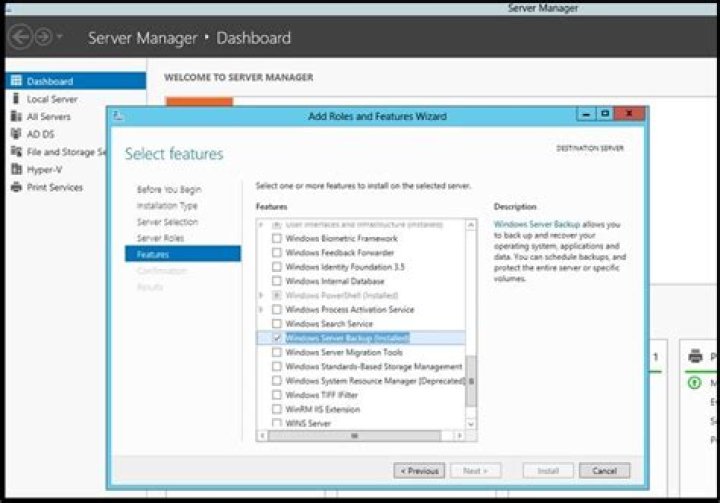 Backup option