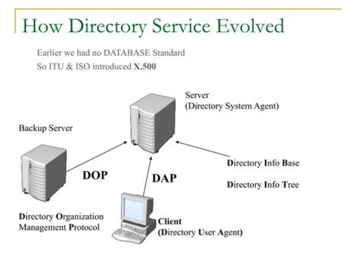 Base directory image Base directory image