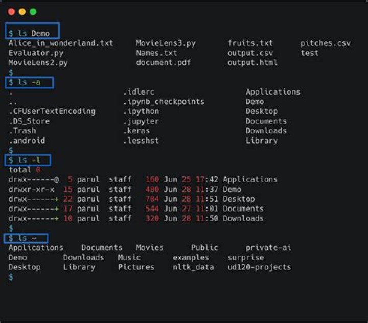 -bash-4.2$ for command line?