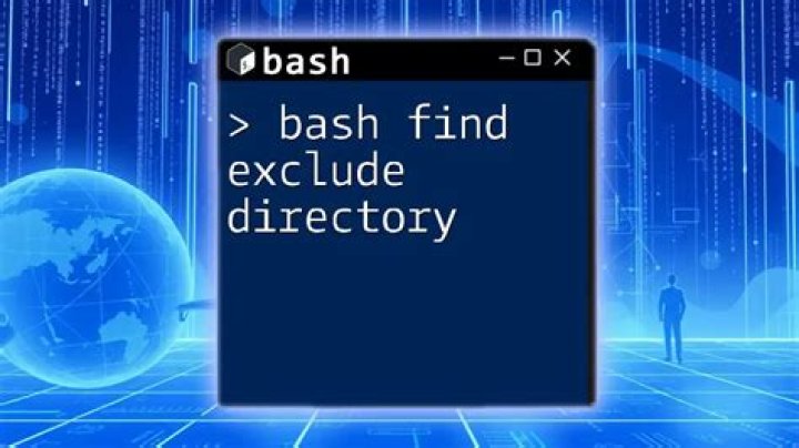 bash 