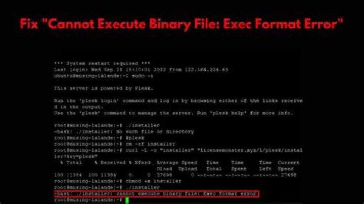 bash: /mnt/c/Windows/System32/notepad.exe: cannot execute binary file: Exec format error