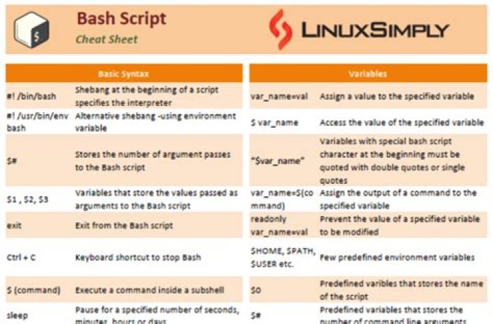 BASH script syntax check, track execution?