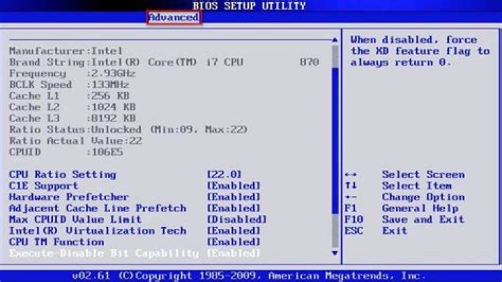 BIOS Advanced tab screen