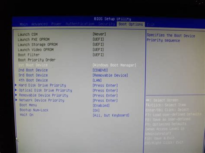 BIOS Boot options tab screen