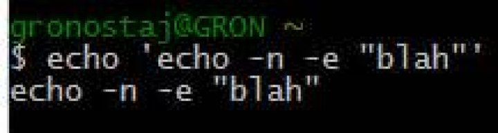 blah command ran in bash