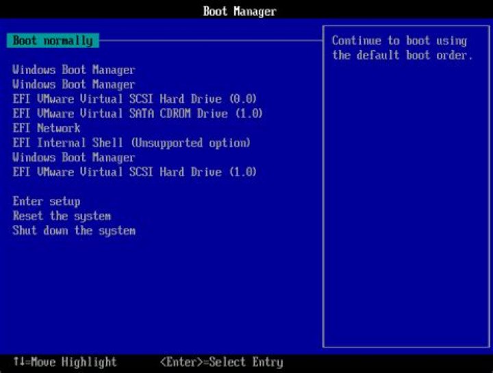 boot manager of virtual machine