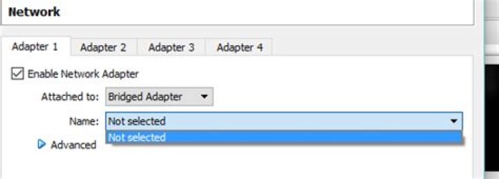 bridge adapter not working in virtualbox