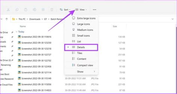 Building a DOS batch script to rename files