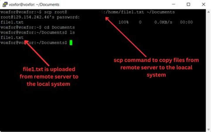 can't find scp file from remote server on my local machine
