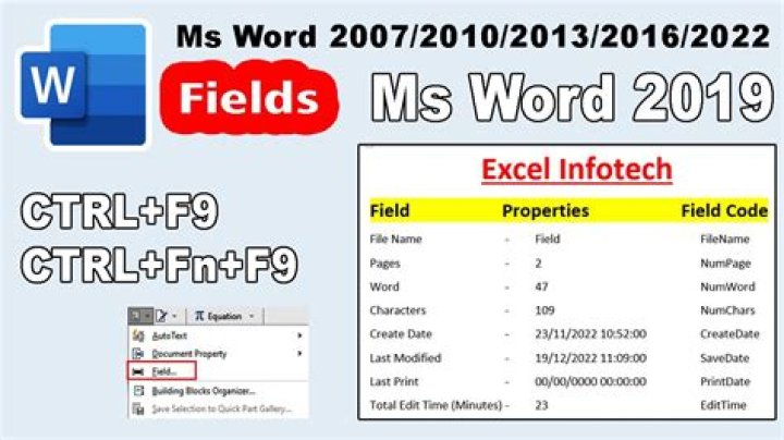 Can I create a custom Field Code in Word 2010 or use a Macro?