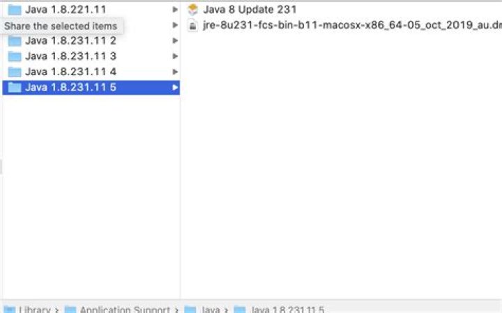 Can I delete the Java folders in ~Library/Application Support?