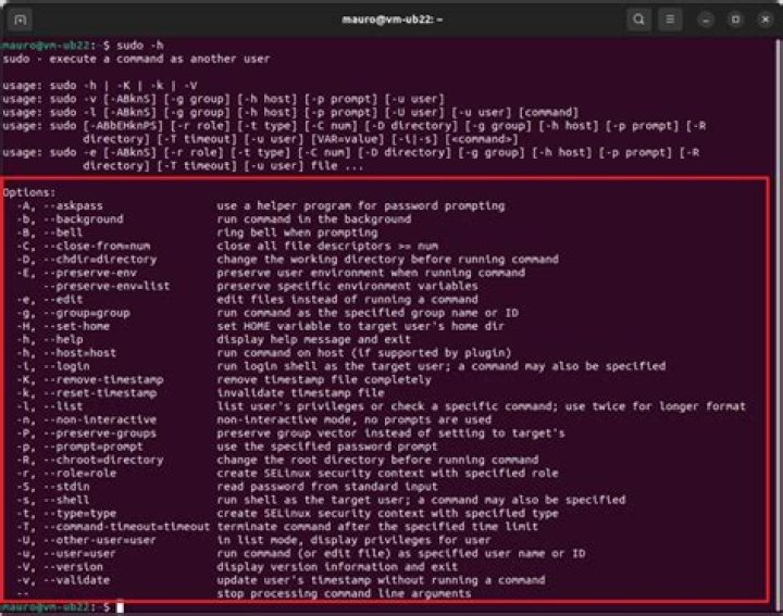 Can I execute multiple lines sudo commands?