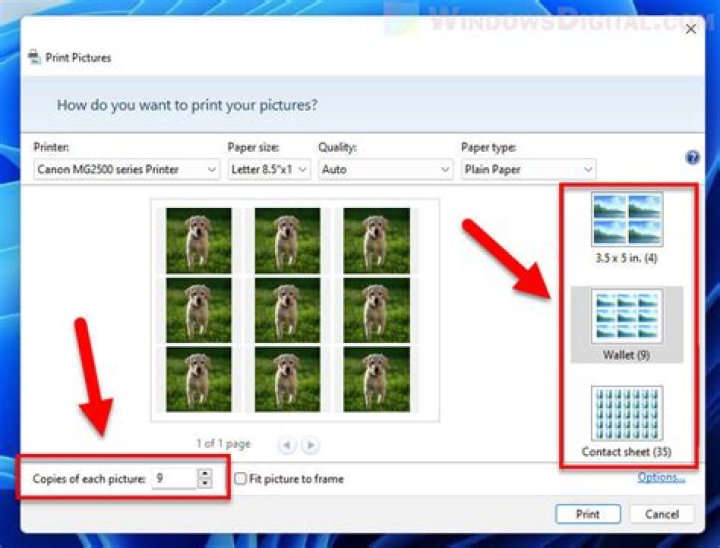 Can only print single copies on GIMP and Image Viewer