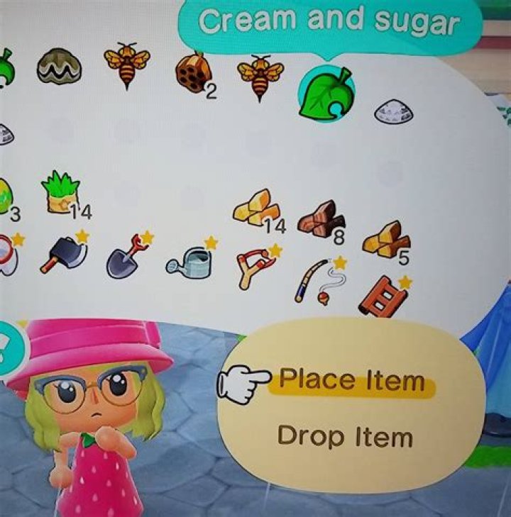 Can visitors sell to CJ and Flick?