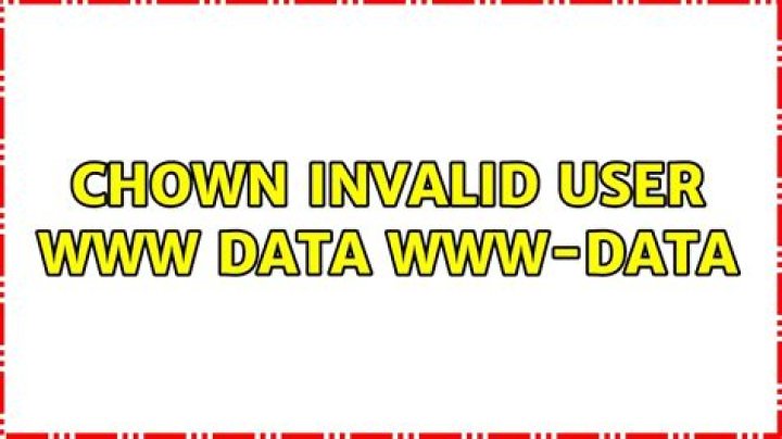 chown: invalid user: ‘www–data:www-data’