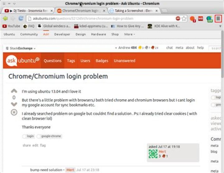 Chrome/Chromium login problem