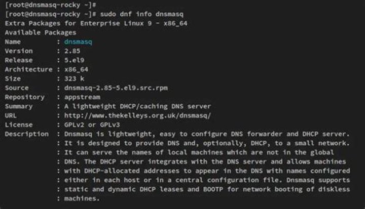 Configure dnsmasq to selectively resolve domains using two DNS providers
