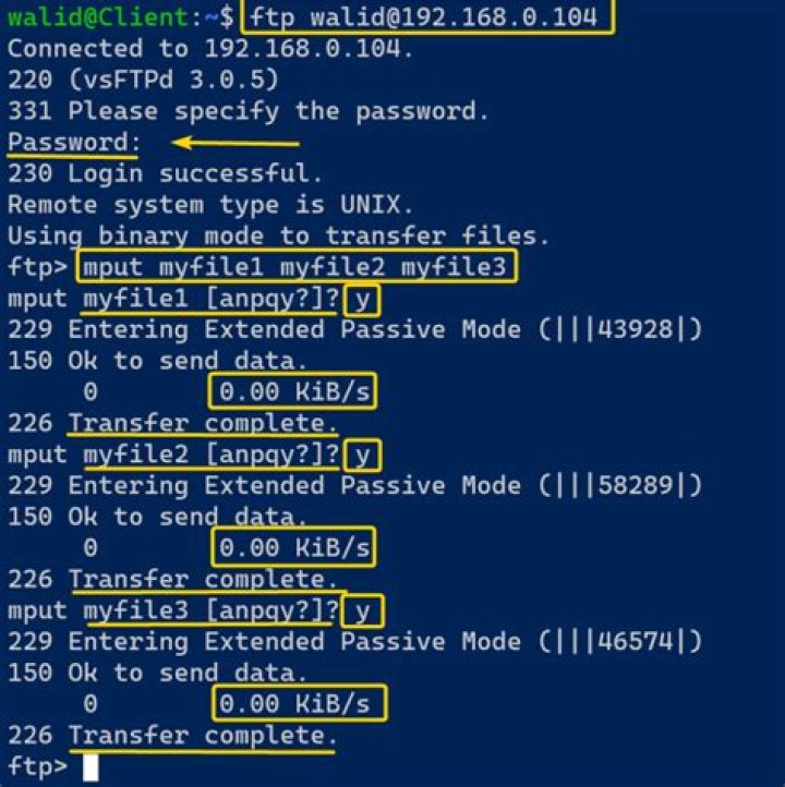 Connecting to FTP via the Linux command line