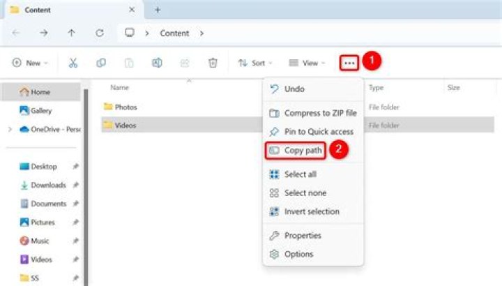 Copy a whole folder from a remote computer