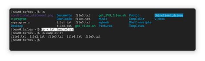 Copy file via terminal with wildcard in command like cp /path/*.dat /dist/path/