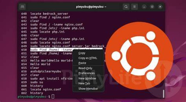 Copy paste option is disabled in ubuntu 20.10