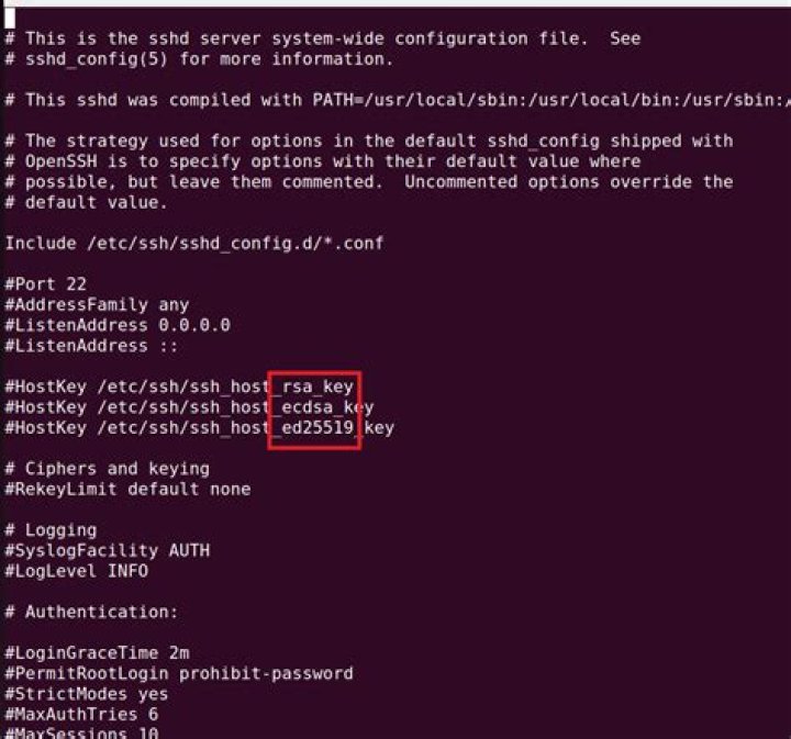 Current directory in SSH config