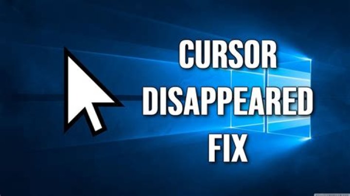 Cursor has disappeared