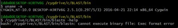 Cygwin: 