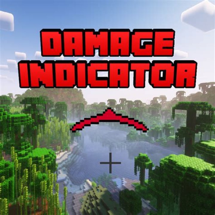 damage indicator