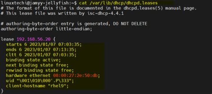 Determine DHCP lease source in Ubuntu 20.04 desktop
