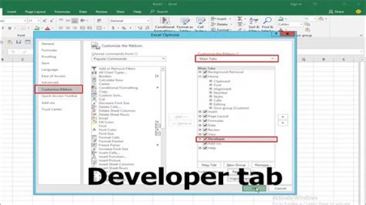 developer tab