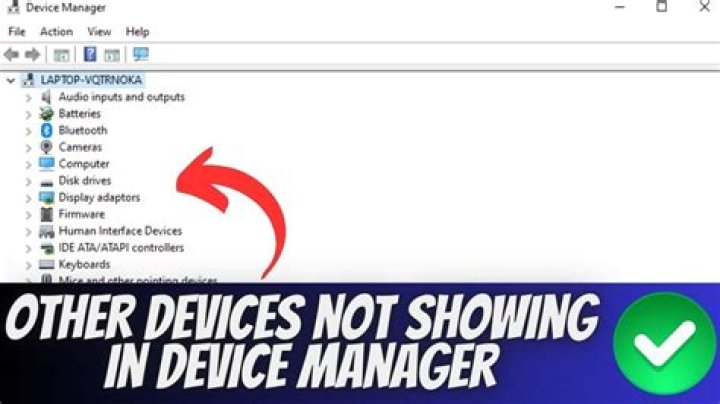 Device Manager Error Pic