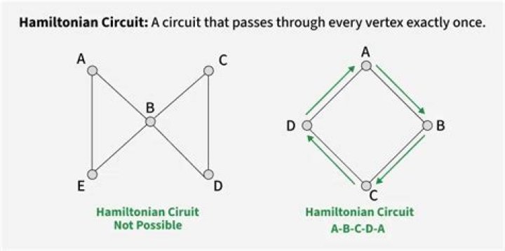 Difference between hamiltonian path and euler path