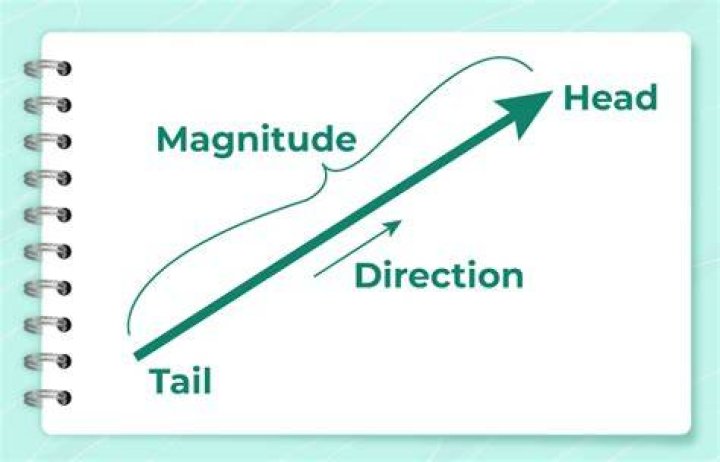 Direction and Magnitude of a Dog Running