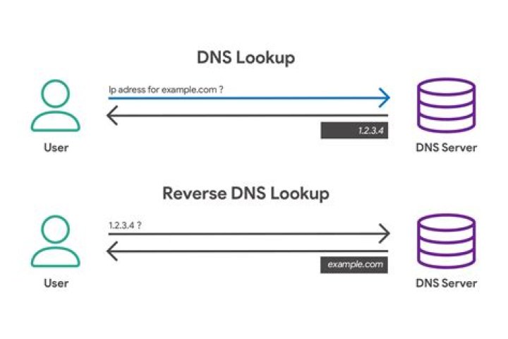 DNS lookup of GTLD servers using dig
