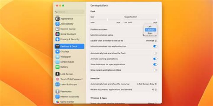 Dock Settings