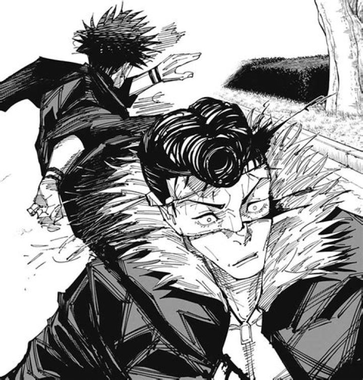 Does Ryu have an official surname?