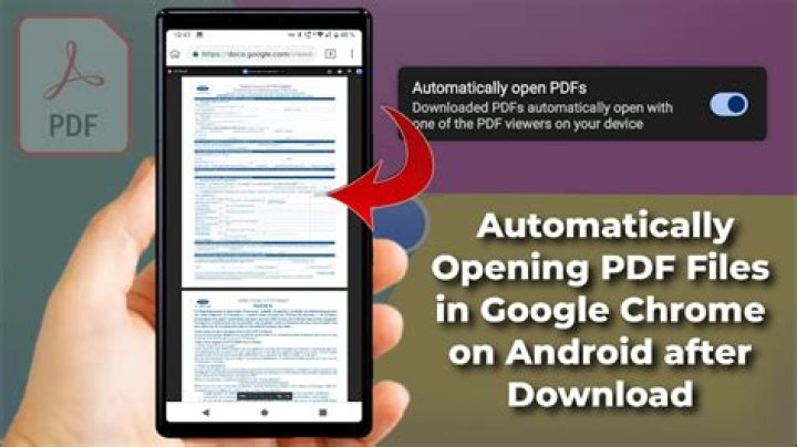 downloaded pdf automatically opens in default system pdf viewer in chrome ubuntu
