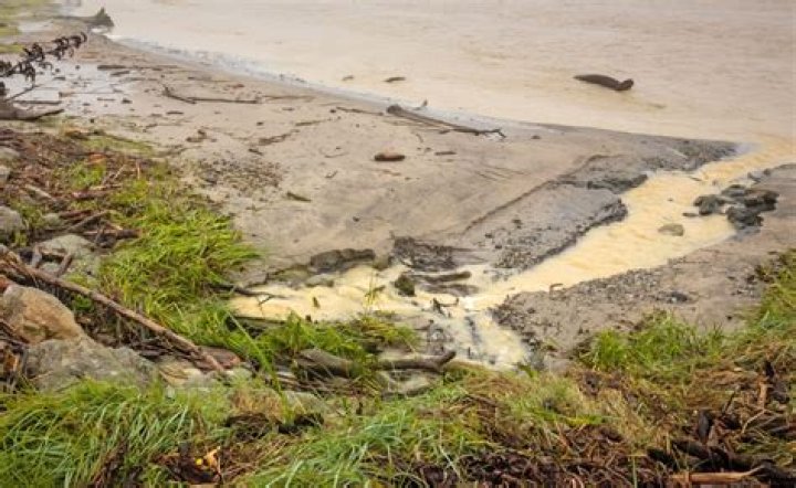 Dupes are not sweeping polluted dirt