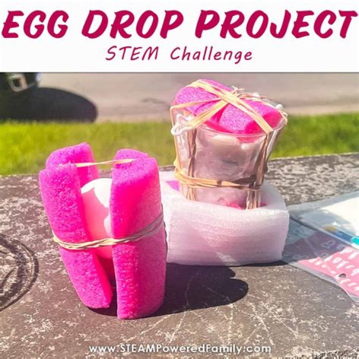Egg auto-shooter design