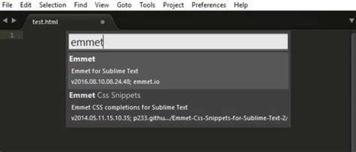 emmet install