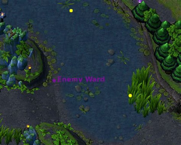 Enemy warding