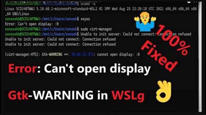 Error: Can't open display: 0